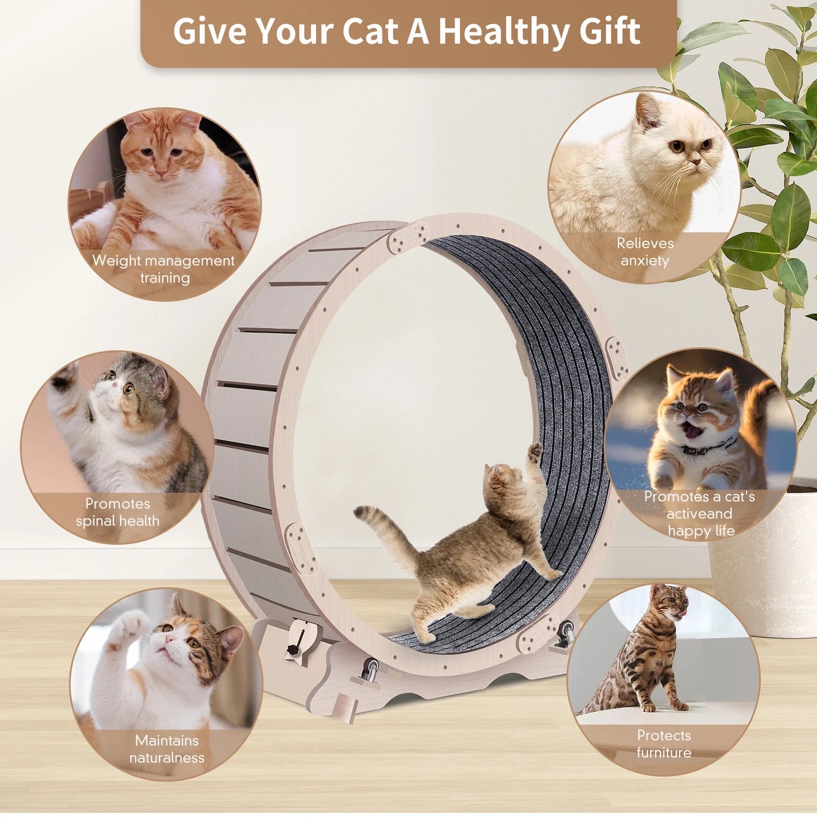 41" Cat Exercise Wheel for Indoor Cats, Cat Running Wheel with Carpeted Runway